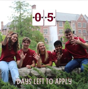 Image post by @osusac on Instagram