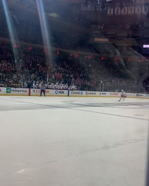 Image post by @everythingcollegehockey on Instagram