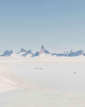 Image post by @white.desert.antarctica on Instagram