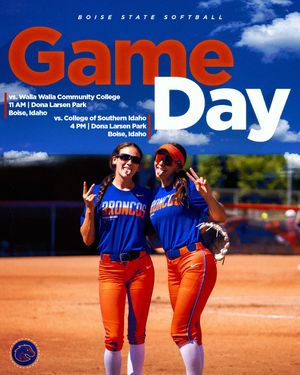 Image post by @boisestatesoftball on Instagram