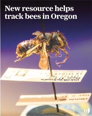 Image post by @theoregonian on Instagram