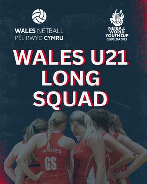Image post by @walesnetball_ on Instagram