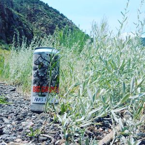 Image post by @biggrovebrewery on Instagram