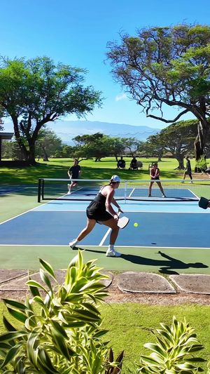 Video post by @thekitchenpickleball on TikTok