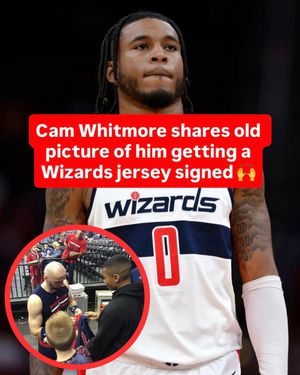 Video post by @whistle on TikTok