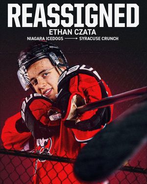 Image post by @ohlicedogs on Instagram