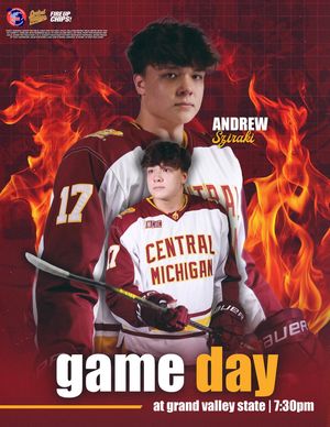 Image post by @cmuhockeyd3 on Instagram
