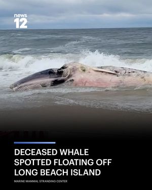 Image post by @news12nj on Instagram