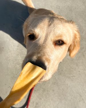 Image post by @honeyimhome on Instagram