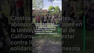 Video post by @laopinionla on YouTube