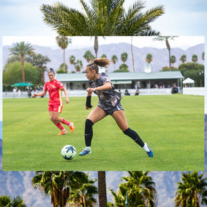 Image post by @fotowill on Instagram