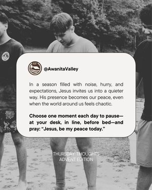 Image post by @awanitavalley on Instagram