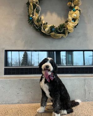 Image post by @titletownflats on Instagram