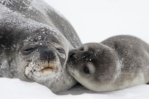 Image post by @usgs on Instagram
