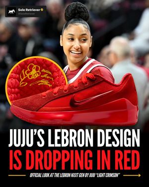 Image post by @soleretriever on Instagram