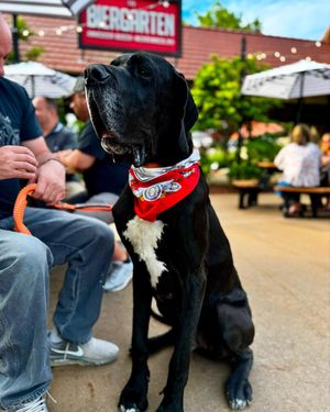 Image post by @mmkbiergarten on Instagram