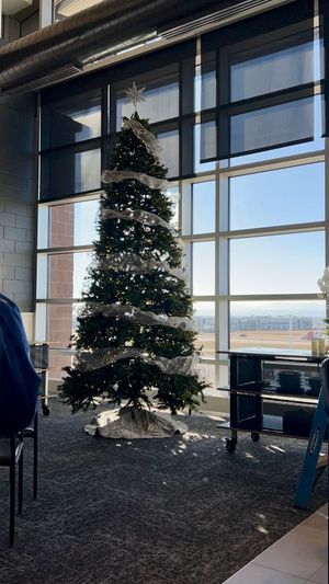 Video post by @BlueFCUArena on Facebook