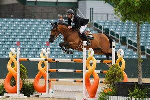 Image post by @kyhorseshows on Instagram