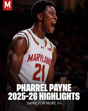 Image post by @terrapinhoops on Instagram