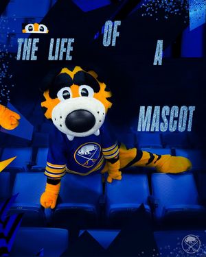 Video post by @buffalosabres on TikTok