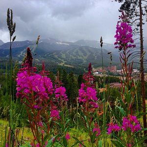 Image post by @breckenridgemtn on Instagram