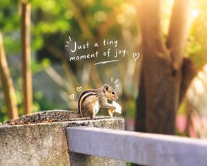 Image post by @yogalakshmi_photography on Instagram