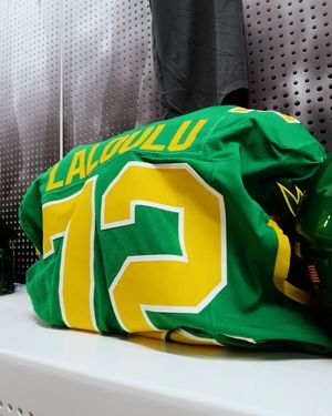 Image post by @goducks on Instagram