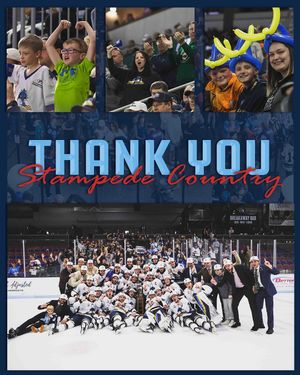 Image post by @sfstampede on Instagram