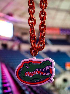 Image post by @gatorsstudents on Instagram