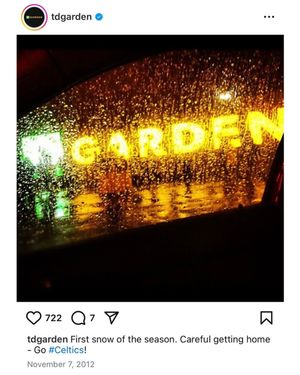 Video post by @tdgarden on TikTok