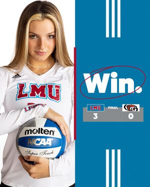 Image post by @lmulionswvb on Instagram