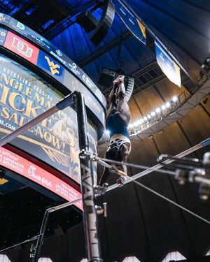 Image post by @wvugymnastics on Instagram