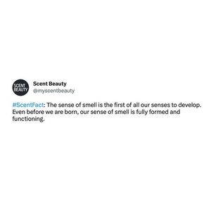Image post by @scentbeauty on Instagram