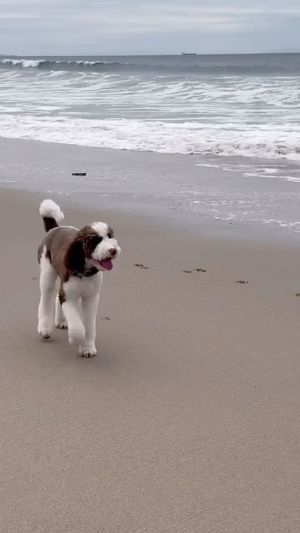 Video post by @kaibree on Instagram