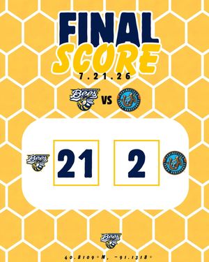 Image post by @burlington_bees on Instagram