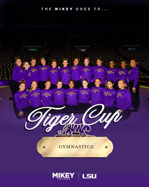 Image post by @lsusports on Instagram