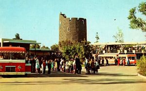 Image post by @cowmissing on Instagram