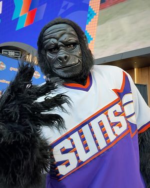 Image post by @azsportsalliance on Instagram