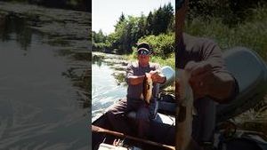 Video post by @wsj on YouTube