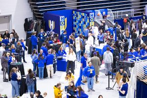 Image post by @hofstrau on Instagram