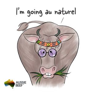 Image post by @aussiebeeflamb on Instagram