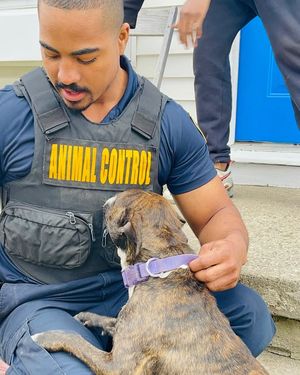 Image post by @DetroitGSD on Facebook
