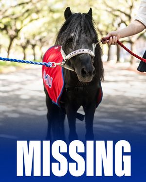 Image post by @smu.mustangs on Instagram