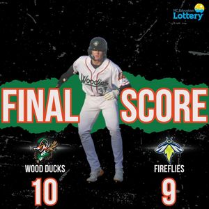 Image post by @gowoodducks on Instagram