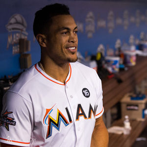 Image post by @marlins on Instagram