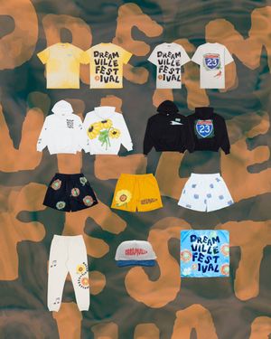 Image post by @Dreamvillefest on Twitter