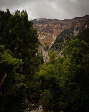 Image post by @jakejohanson_photo on Instagram