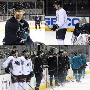 Image post by @sanjosesharks on Instagram