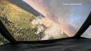 Video post by @wwltv on YouTube