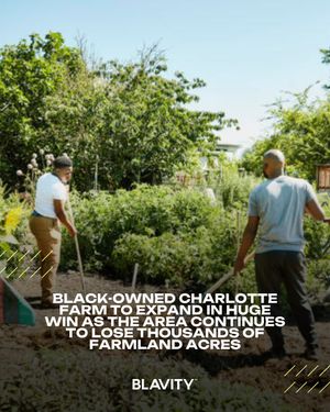 Image post by @blavity on Instagram